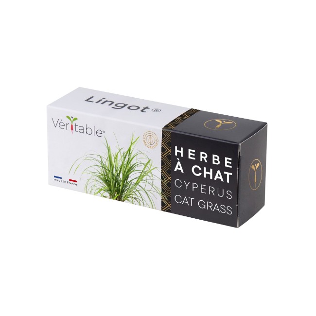 Опаковка семена от котешка трева "Lingot" Cyperus - Veritable